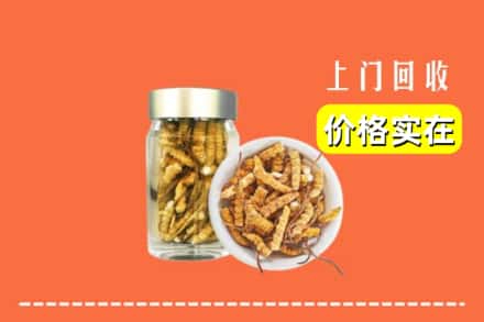 收购资讯:东莞莞城街回收散虫草