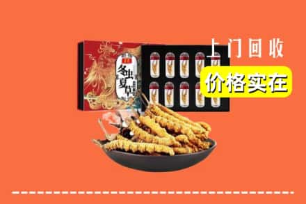 东莞莞城街回收虫草