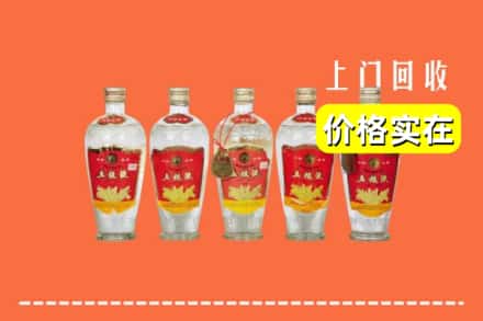 东莞莞城街回收老五粮液